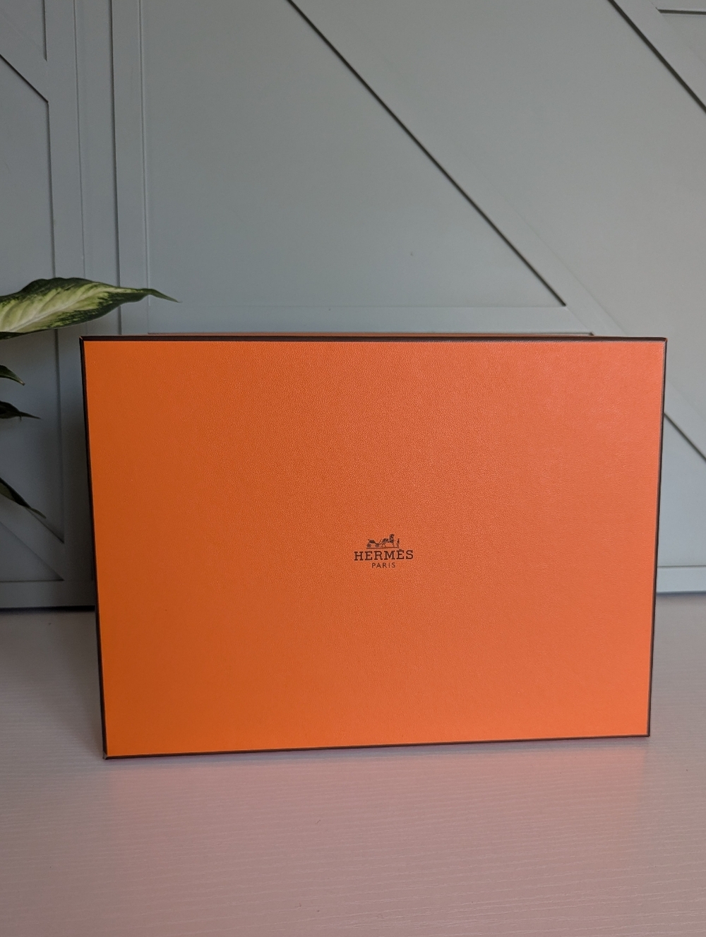 Hermès Orange Leather Logo Cover